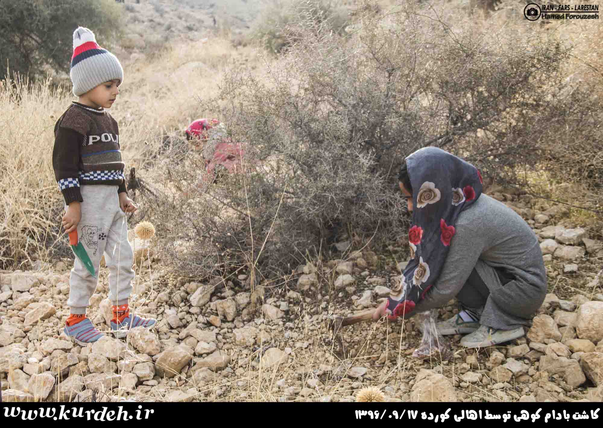 تصویر وجود ندارد